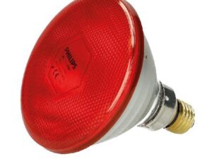 lampada Philips infrarossi PAR38 rossa rinforzata riscaldamento animali
