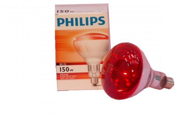 Philips 150W-250W - Lampada a raggi infrarossi Philips ( modello Leggero ) - immagine 2