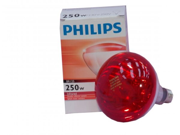 Philips 150W-250W - Lampada a raggi infrarossi Philips ( modello Leggero ) - immagine 4