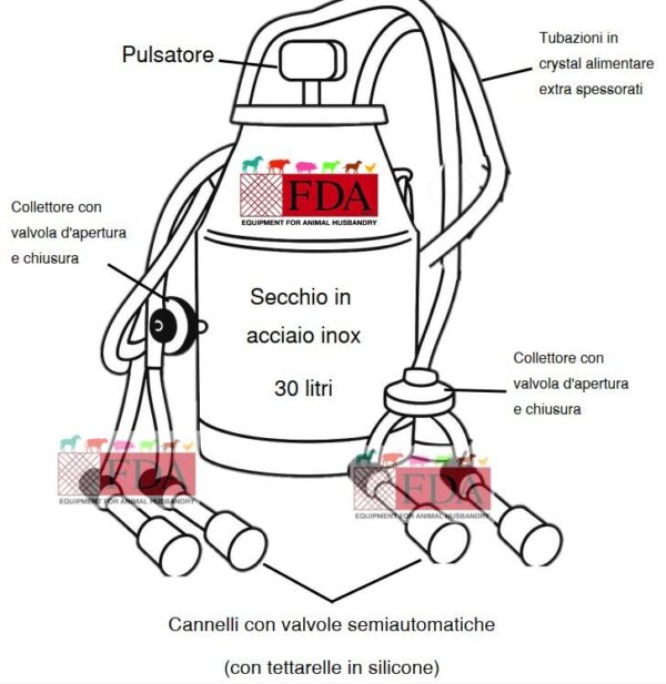 Schema tecnico del secchio mungitore in acciaio inox da 30 litri con doppio gruppo per caprini e ovini, completo di pulsatore, collettori, cannelli con valvole e tubazioni crystal.