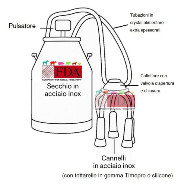 Schema tecnico del secchio mungitore in acciaio inox da 30 litri per bovini, con pulsatore, collettore, cannelli e tubazioni in crystal alimentare.