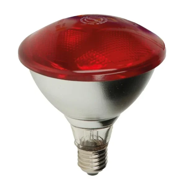Lampada a infrarossi Interheat PAR100W 3G in vetro pressato, ideale per riscaldare suinetti, pulcini e cuccioli